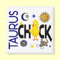 Taurus Chick 1 magnets