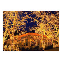 Tavern on the Green, Central Park, New York City, Announcement