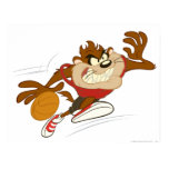 Taz the Dribbling Cyclone posters