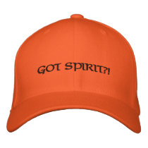 TC Stings Hat Embroidered Baseball Cap