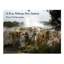 Te Puia, Rotorua, New Zealand Post Card