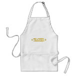 TEACHER APRONS