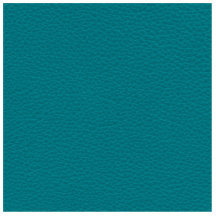 Teal Printed Pattern. Green Blue. Photo Cut Out