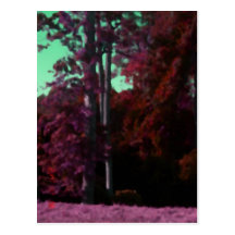 Teal Skies + Maroon Grounds Postcard