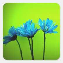 Teal Turquoise Daisies on Lime Green Flowers Gifts Stickers