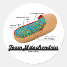 Team Mitochondria (Mitochondrion Humour) Round Stickers