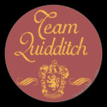 Team Quidditch stickers
