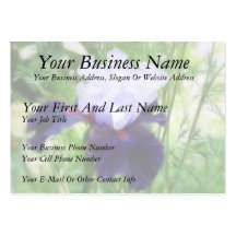 Teamwork - Tall Bearded Iris Business Card