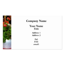 Teapot Filled With Geraniums Business Card