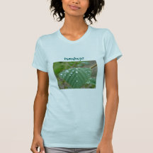 Teardrops T-shirt