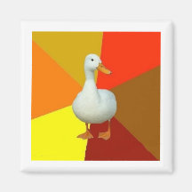 Technologically Impaired Duck Advice Animal Meme Refrigerator Magnets
