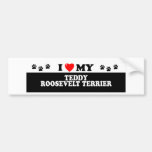 TEDDY ROOSEVELT TERIER_ BUMPER STICKER