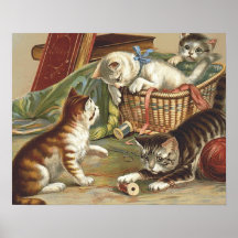 TEE Curious Cat Print