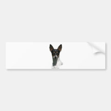 Tenterfield Terrier Bumper Stickers