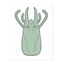 Termite Postcards