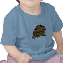 Terrific Tortoise Baby Tee