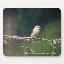 Test Bird on limb, 392 Mousepads