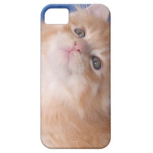 tete de chat1.png étuis iPhone 5
