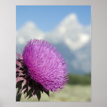 Tetons Thistle Print
