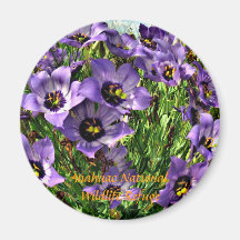 Texas Bluebells Magnet