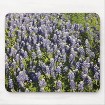 Texas Bluebonnets Mousepad