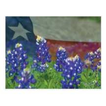 Texas flag with bluebonnets postcard