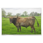 Texas Longhorn Standing in a Field Placemat