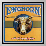 Texas Steer Longhorn Poster