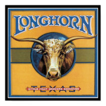 Texas Steer Longhorn posters