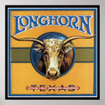Texas Steer Longhorn Poster