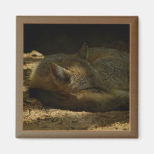 Texas Swift Fox Square Magnet