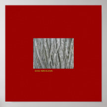 texture evoluc photo poster
