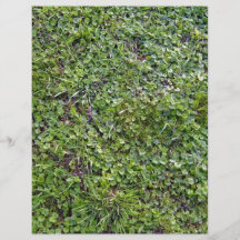 Texture of Grass and Small Plants Custom Flyer