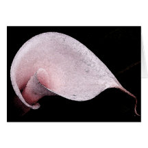 TGKI PINK CALLA CARDS