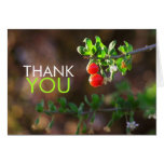 Thank You 2 Red Berries Card