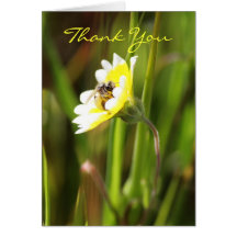 Thank You, Blank Greeting Cards