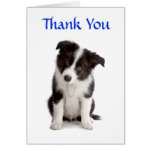 Thank You Border Collie Puppy Greeting Card