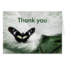 Thank you Butterfly Greeting Card