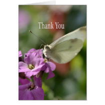 Thank You - Butterfly on Flowers cards