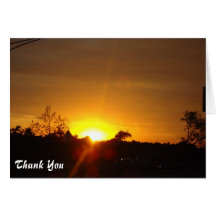 Thank You Card
