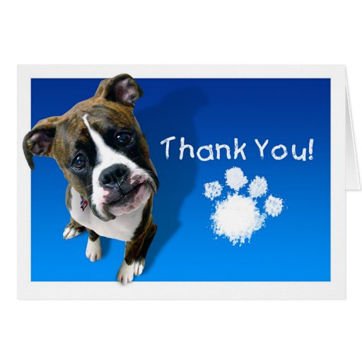 Thank You Card - Boxer