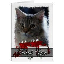 Thank You Card With Maine Coon Kitten