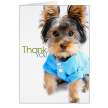 Thank You Card_Yorkie