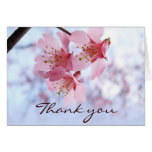 Thank You cards