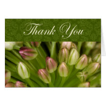 Thank You Cards