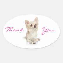Thank You Chihuahua  Sticker