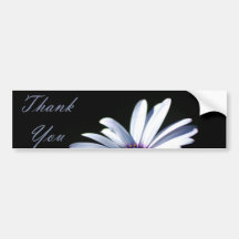 Thank You - Daisy Bumper Sticker