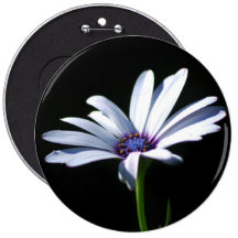 Thank You - Daisy Button