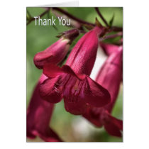 Thank You - Flowers cards