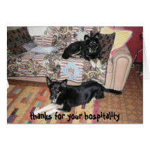 Thank you for your hospitality card (dogs)